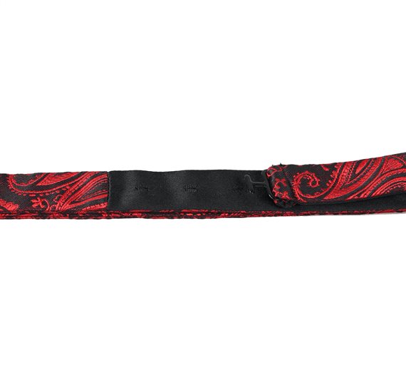 Corbata Lazo con Paisley