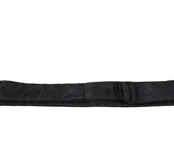 Corbata Lazo con Paisley