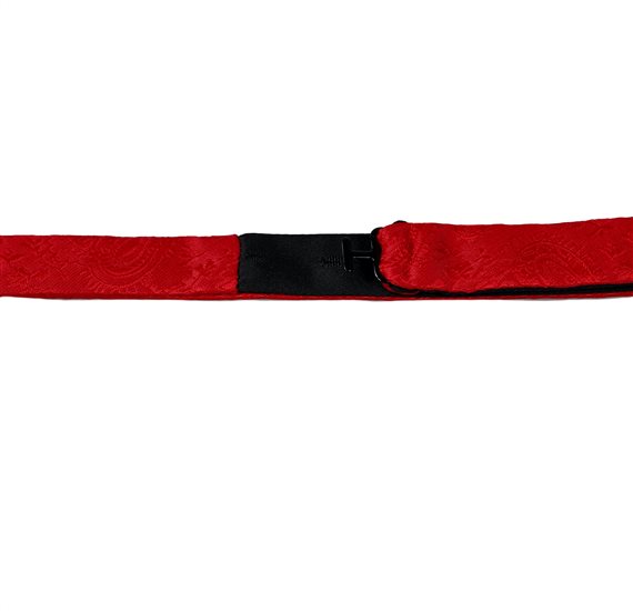 Corbata Lazo Paisley