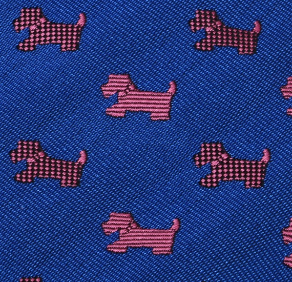 Corbata Niño Azulón Schnauzer