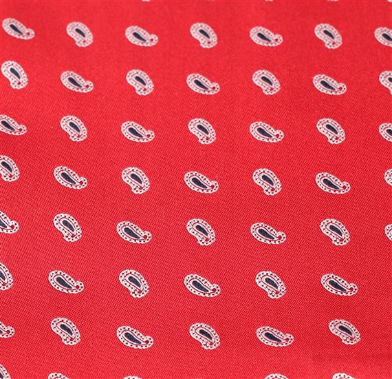 Detalle tejido pajarita y pañuelo rojo con paisley