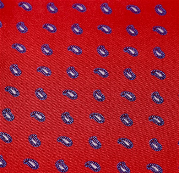 Detalle tejido Pajarita y pañuelo seda roja con paisley azulón