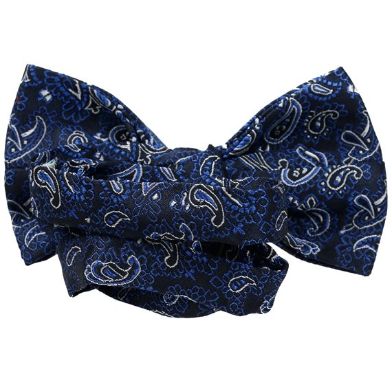 Pajarita Azul Paisley