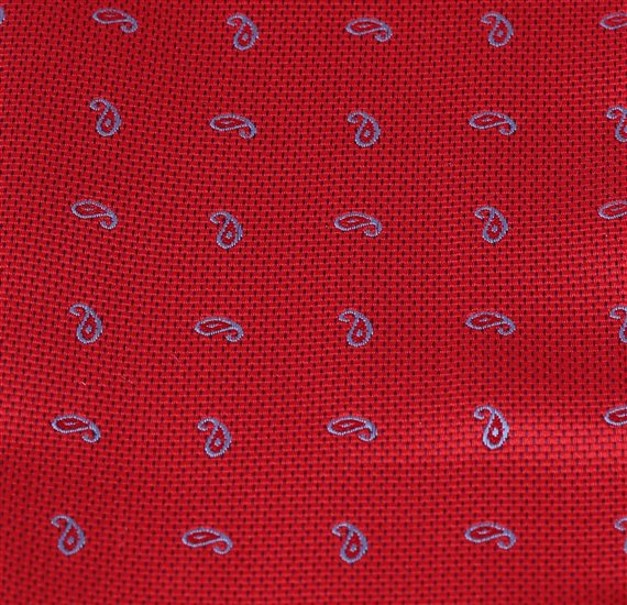 Pajarita y Pañuelo Rojo con Paisley Tejido