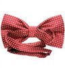 ASCOT 54