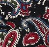 Corbata Lazo Paisley