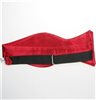 Corbata Lazo Roja
