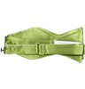 Corbata Lazo Verde