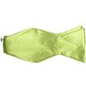 Corbata Lazo Verde