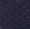 Corbata Niño Azul con Lunares Rojos
