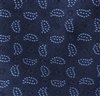 Corbata Niño Paisley