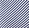 Corbata Niño Rayas Azul y Blanco