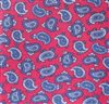 Corbata Niño Seda Roja Paisley