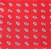 Detalle tejido pajarita y pañuelo rojo con paisley