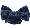 Pajarita Azul Paisley
