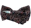 Pajarita Azul Paisley