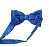 Pajarita Azul Paisley