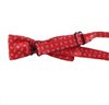 Pajarita Niño Rojo Paisley Azul Royal