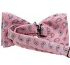 Pajarita rosa con cachemir gris revés