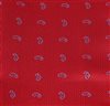 Pajarita y Pañuelo Rojo con Paisley Tejido