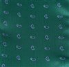 Pajarita y Pañuelo Verde con Paisley Tejido