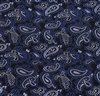 Pañuelo Bolsillo Azul Marino Paisley