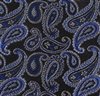 Pañuelo Bolsillo Verde Paisley