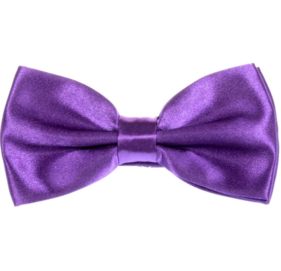 PAJARITA MORADA