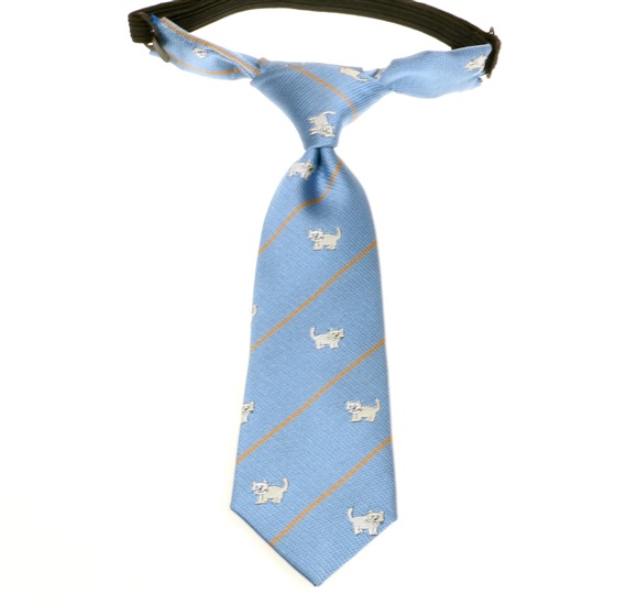 Krawatte Baby Katzen Himmelblau