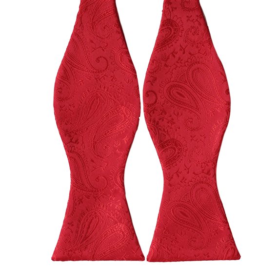 Rote Fliege mit Paisleymuster