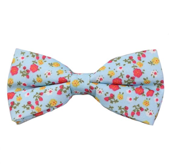 Hellblauer Fliege mit roten Blumen