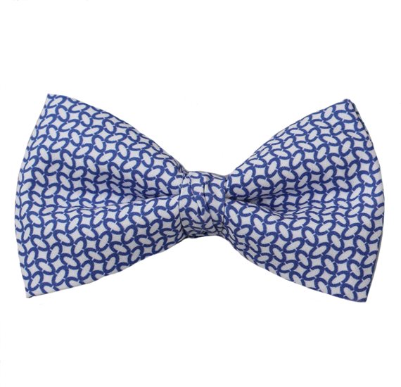Blauer Fliege mit Gliedern