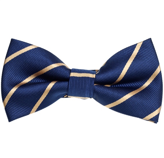 Marineblaue Fliege mit goldenen Streifen