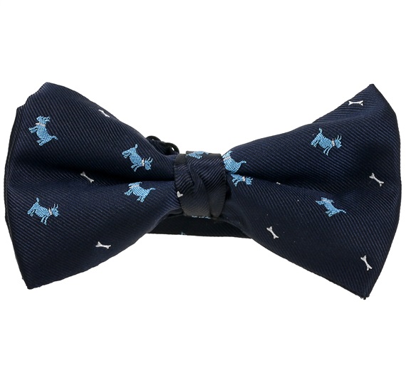 Marineblaue Fliege Himmelblauer Schnauzer