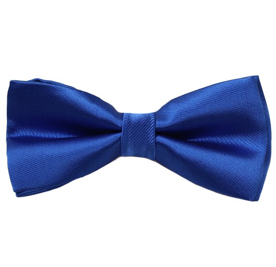 Blauer Satinfliege