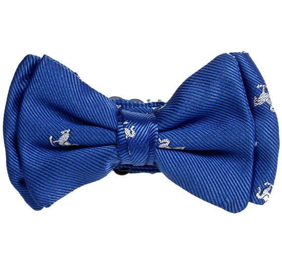 Babyblaue Fliege mit weißen Pferdchen