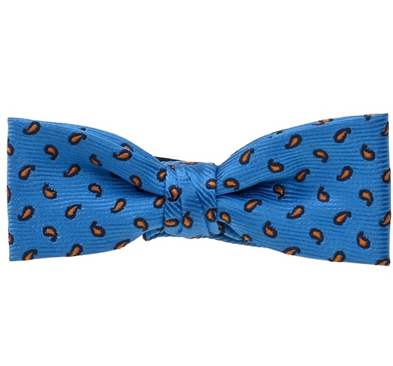 Babyblaue Fliege mit orangefarbenem Kaschmir