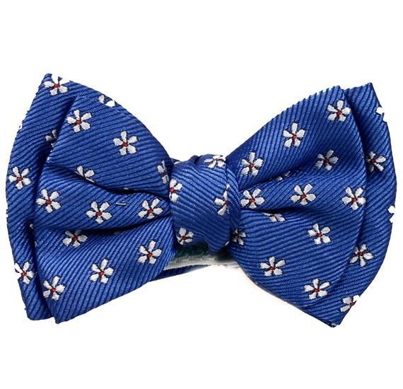 Babyblaue Fliege mit Gänseblümchen