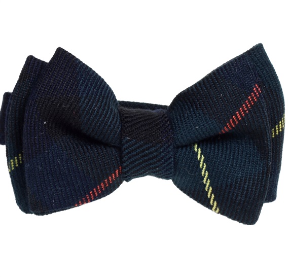 Marineblau karierte Babyfliege