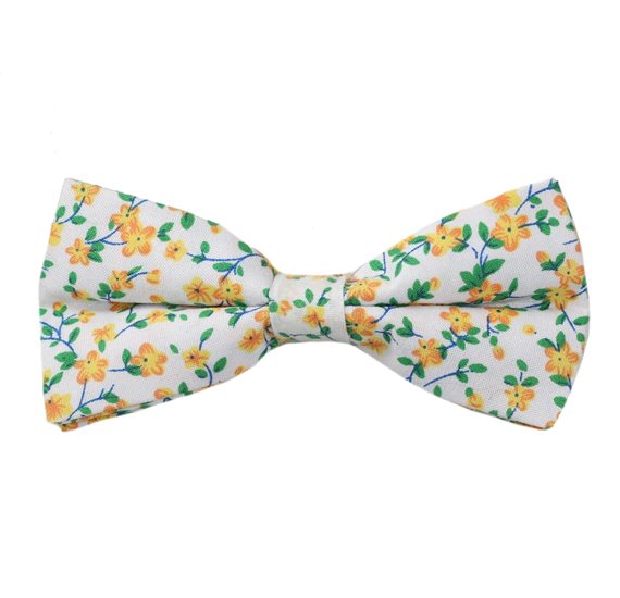 Weiße Fliege mit gelben Blumen
