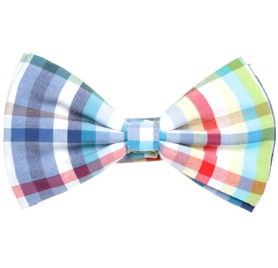 Karierte Multicolor Fliege
