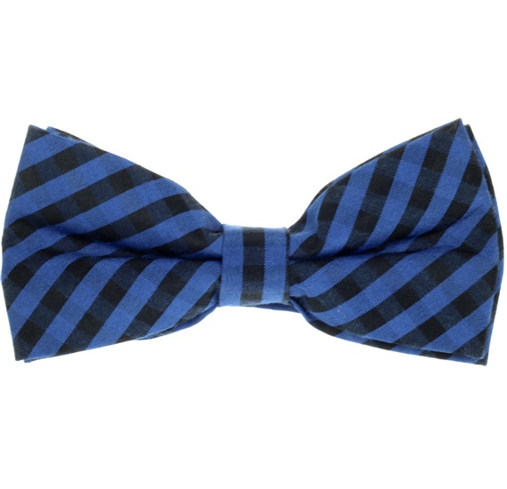 Fliege Vichy-Karo in Blau und Schwarz