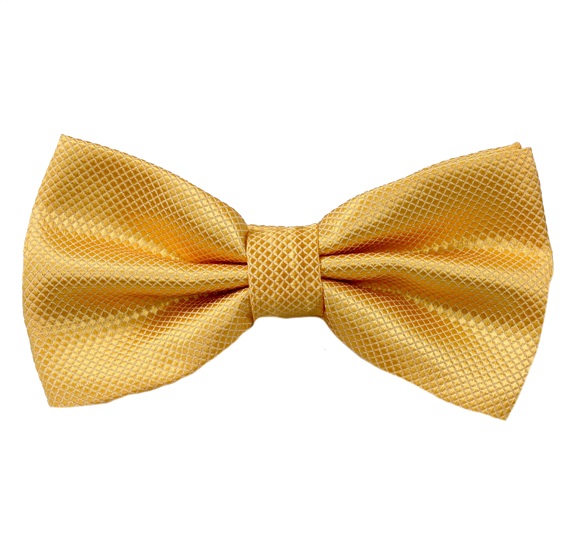 Elegante Gelbe Fliege