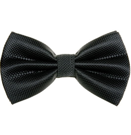 Elegante Schwarze Fliege