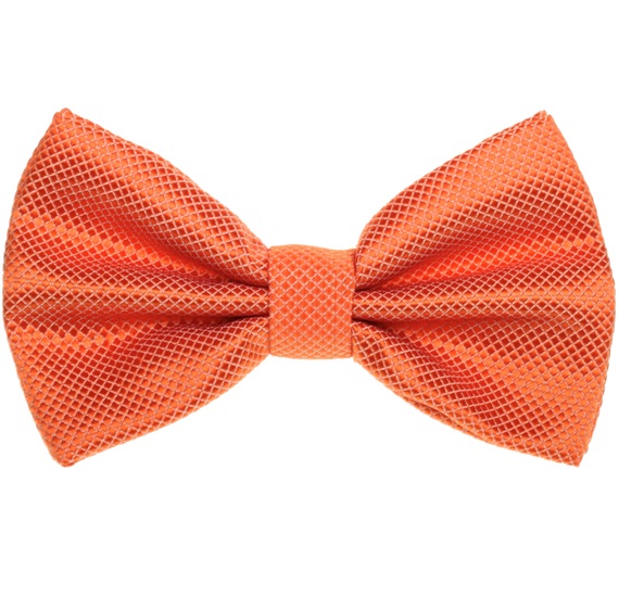 Orangefarbene Fliege