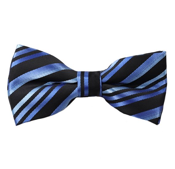 Schwarze Fliege mit blauen Streifen