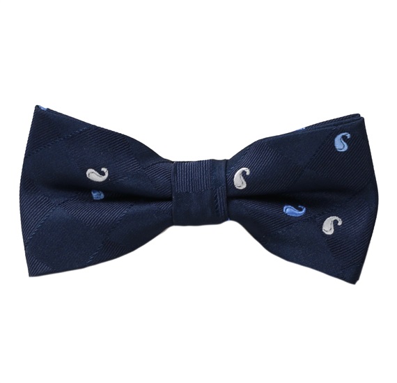 Jungen Fliege Blau mit Kaschmir