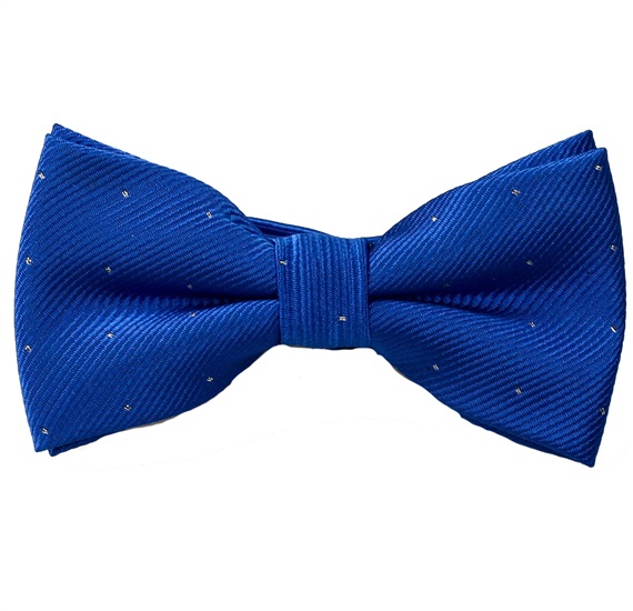 Kinder Fliege Party Blau Tupfen