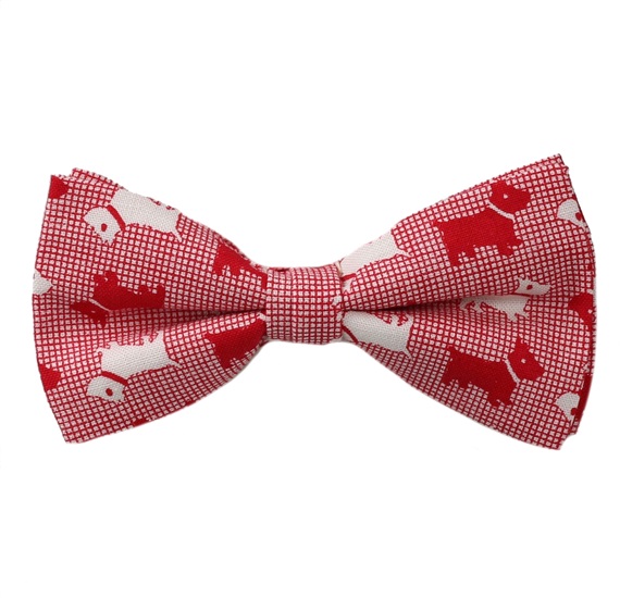 Rote Kinderfliege Schnauzer