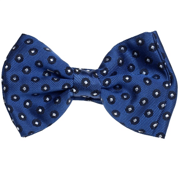 Jungen Seidenfliege Blau mit Weißen Punkten
